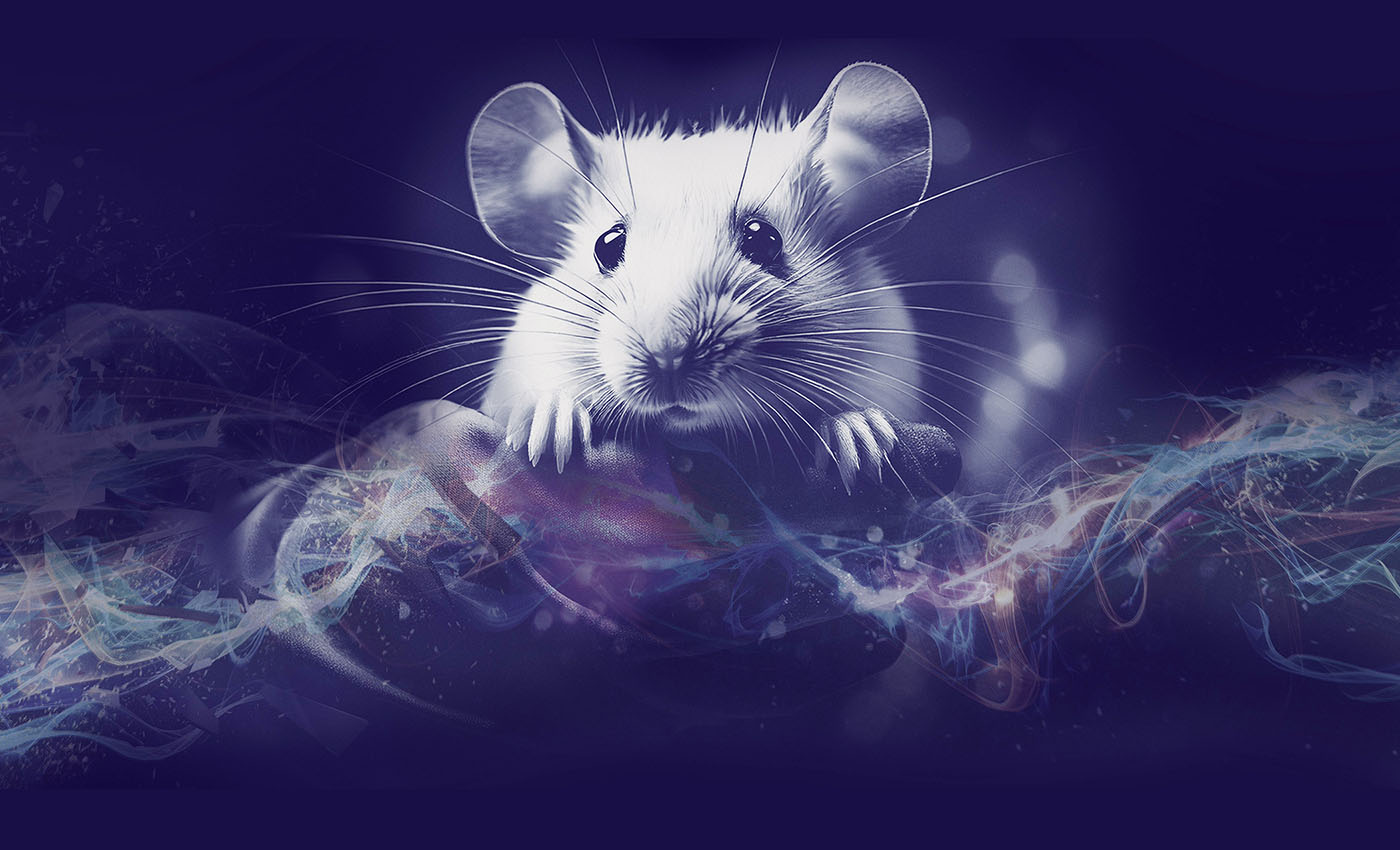 are-next-generation-immunodeficient-mouse-models-the-key-to-preclinical-success?