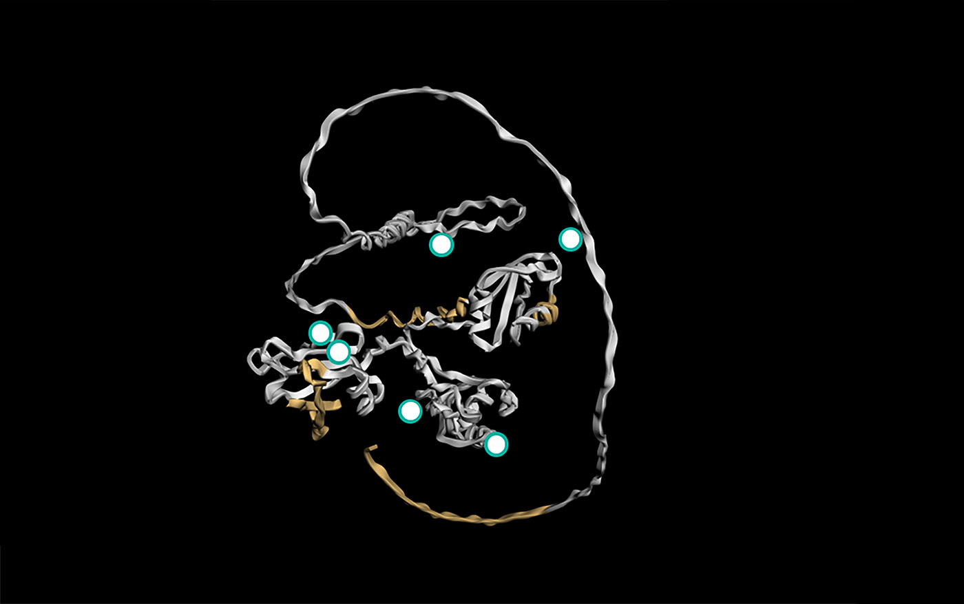 a-new-view-of-antibody-binding-sites
