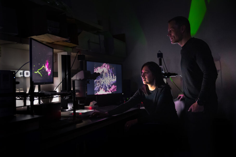 viral-spread-in-the-gut-microbiome-mapped-at-single-particle-resolution