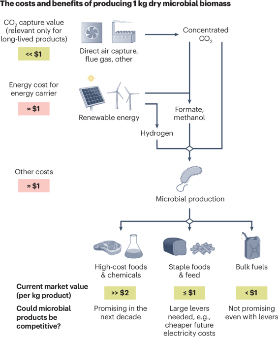 electro-microbial-production-techno-economic-viability-and-environmental-implications