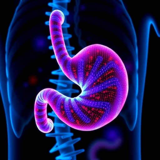 gene-mutations-associated-with-poor-prognosis-in-stomach-cancer