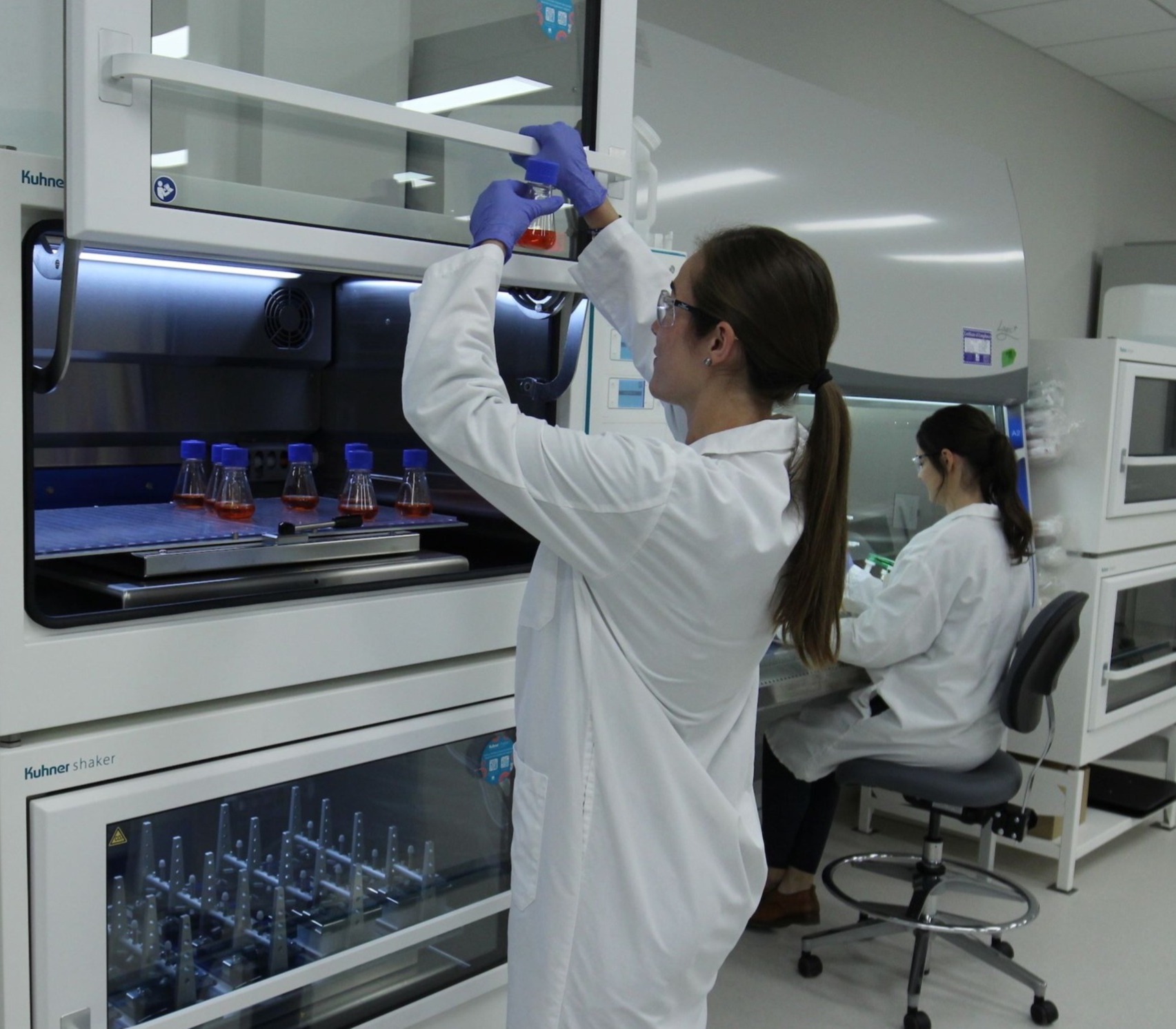 cytiva-and-asimov-collaborate-on-nextgen-cell-line-design-and-process-development