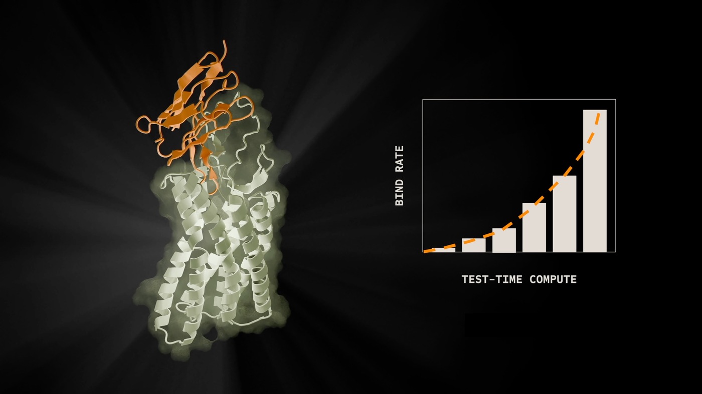 test-time-scaling-improves-speed-and-success-of-ai-based-antibody-design