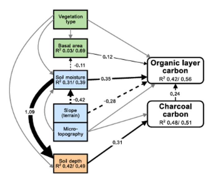 new-study-identifies-key-factors-influencing-carbon-storage-in-boreal-forests