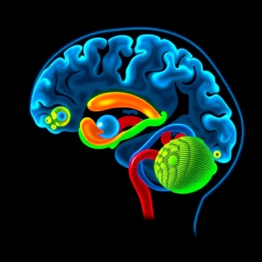 imaging-breakthroughs-reveal-early-parkinson’s-signs