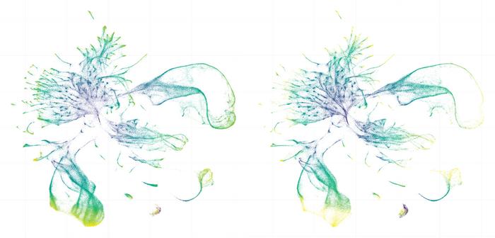 see-through-worms-illuminate-evolutionary-mysteries