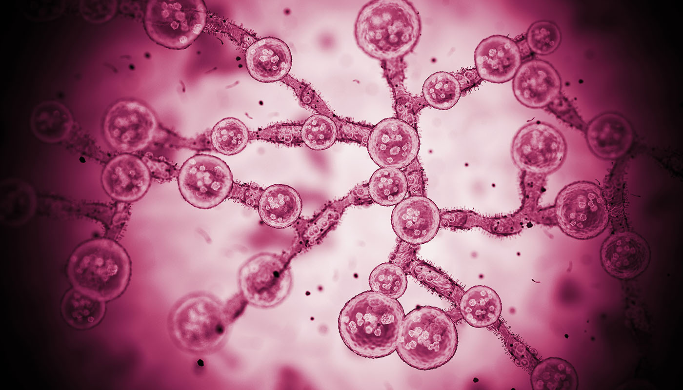 how-climate-changes-are-impacting-infectious-diseases