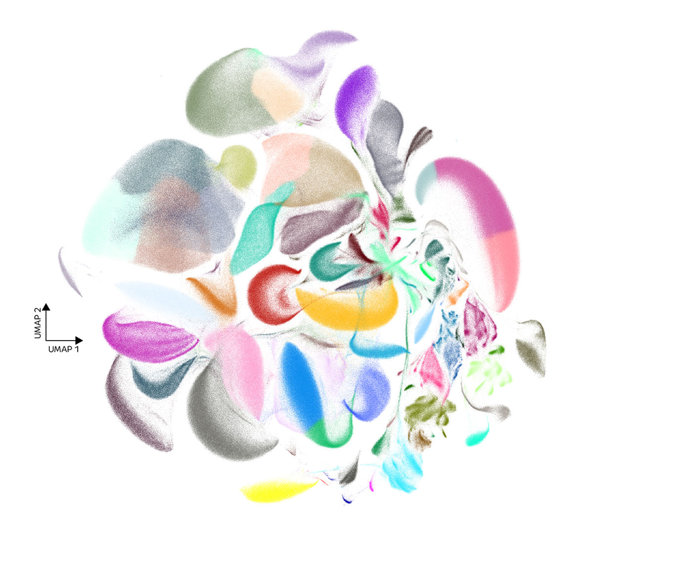 the-single-cell-club-is-rapidly-expanding