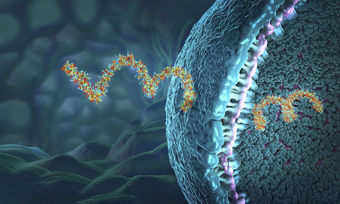 rna-expands-its-clinical-clout