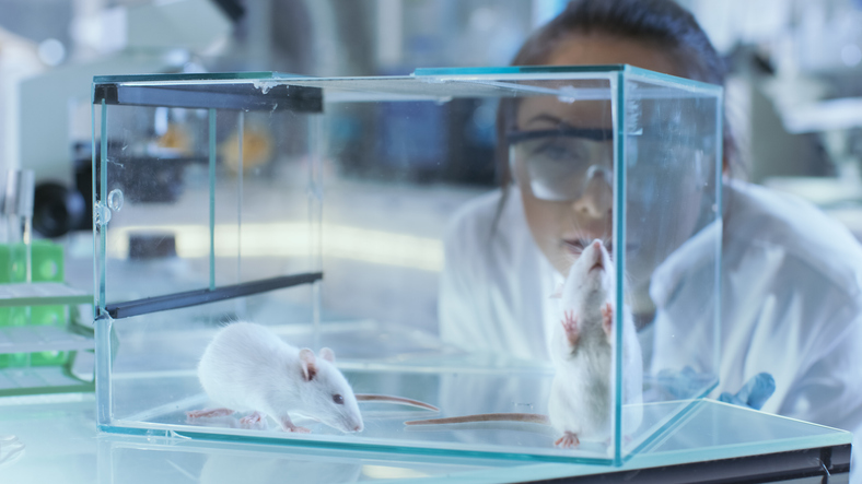 why-we-still-need-animal-research-in-a-world-of-ai-and-organoids