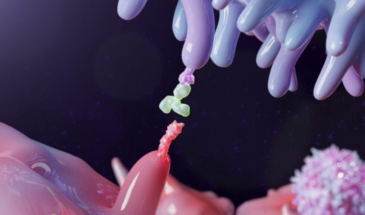 immunotherapy-response-may-be-influenced-by-patient’s-own-autoantibodies