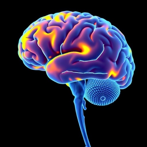 hippocampal-maps-shift-despite-stable-senses