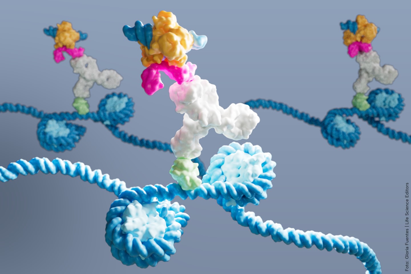tf-binding-mapped-via-dynatag-in-single-cells,-low-input-samples