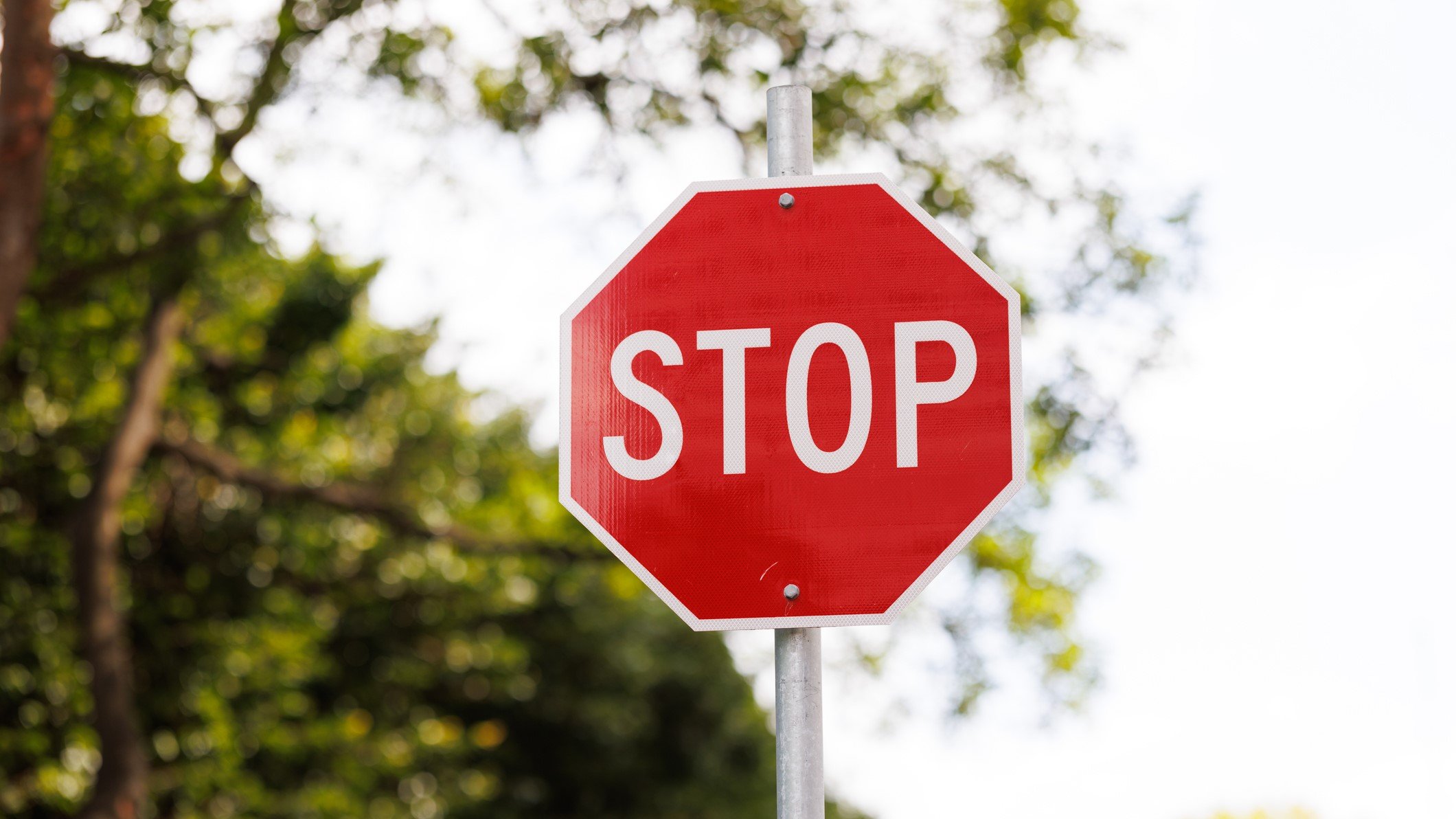 nuvectis-axes-ovarian-cancer-program-after-seeing-phase-1b-data