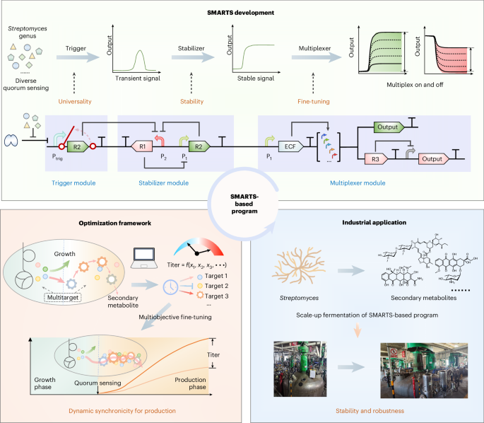 scalable-secondary-metabolite-production-in-streptomyces-using-a-plug-and-play-system