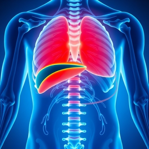 defining-liver-stiffness-in-fontan-patients