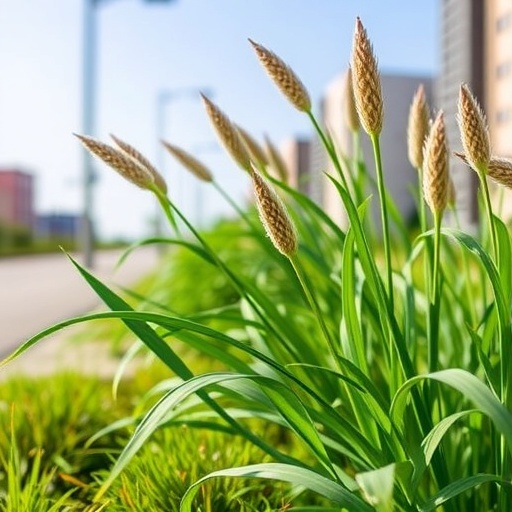 biogas-from-roadside-grasses:-nutrients-for-urban-plants