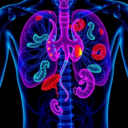 pinpointing-klk3-targets-for-prostate-cancer-therapy