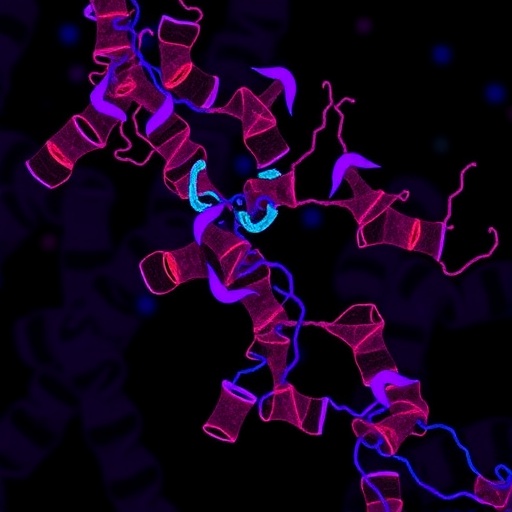 ppm1d-degradation-by-proteasomes-independent-of-ubiquitination