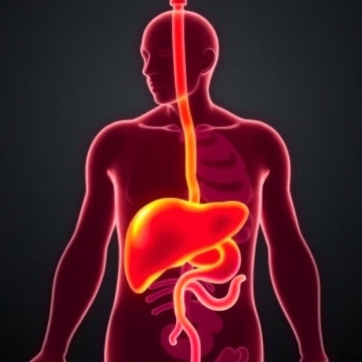 understanding-metabolic-dysfunction-in-indian-liver-disease