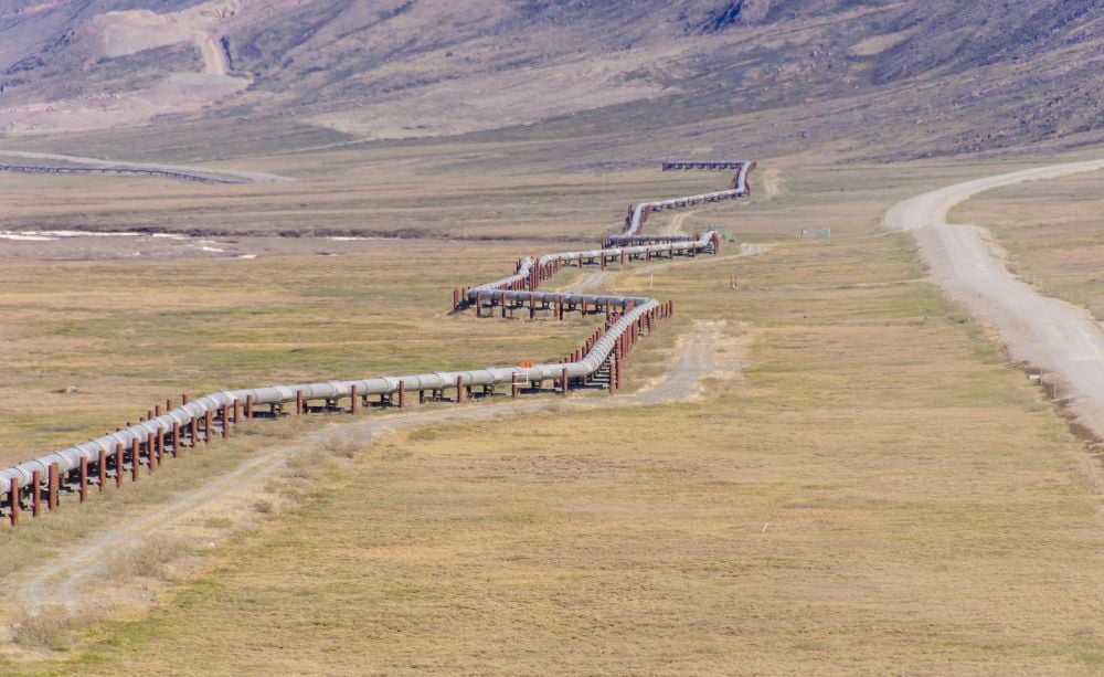 abbvie,-regeneron-and-sanofi-help-fund-$80m-series-a-round-for-tregs-specialist-zag-bio