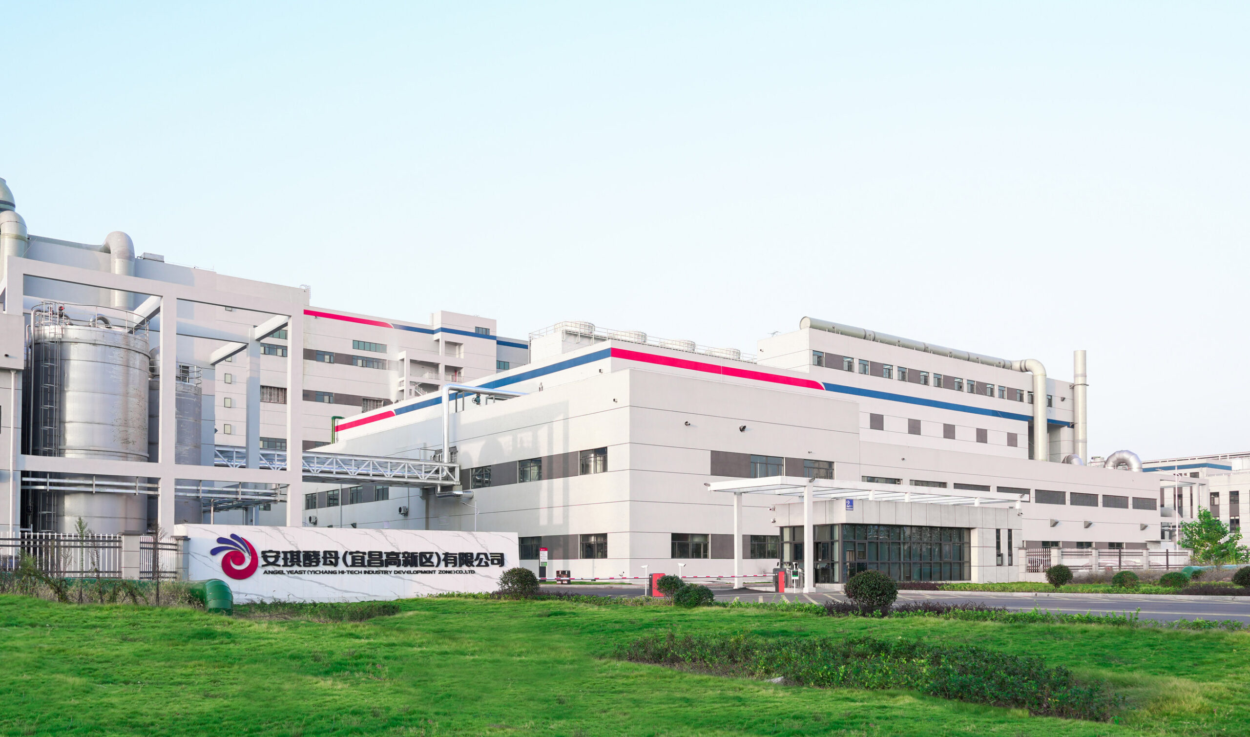 angel-yeast-starts-operating-new-11,000-ton-yeast-protein-production-line-to-meet-global-demand-for-sustainable-nutrition