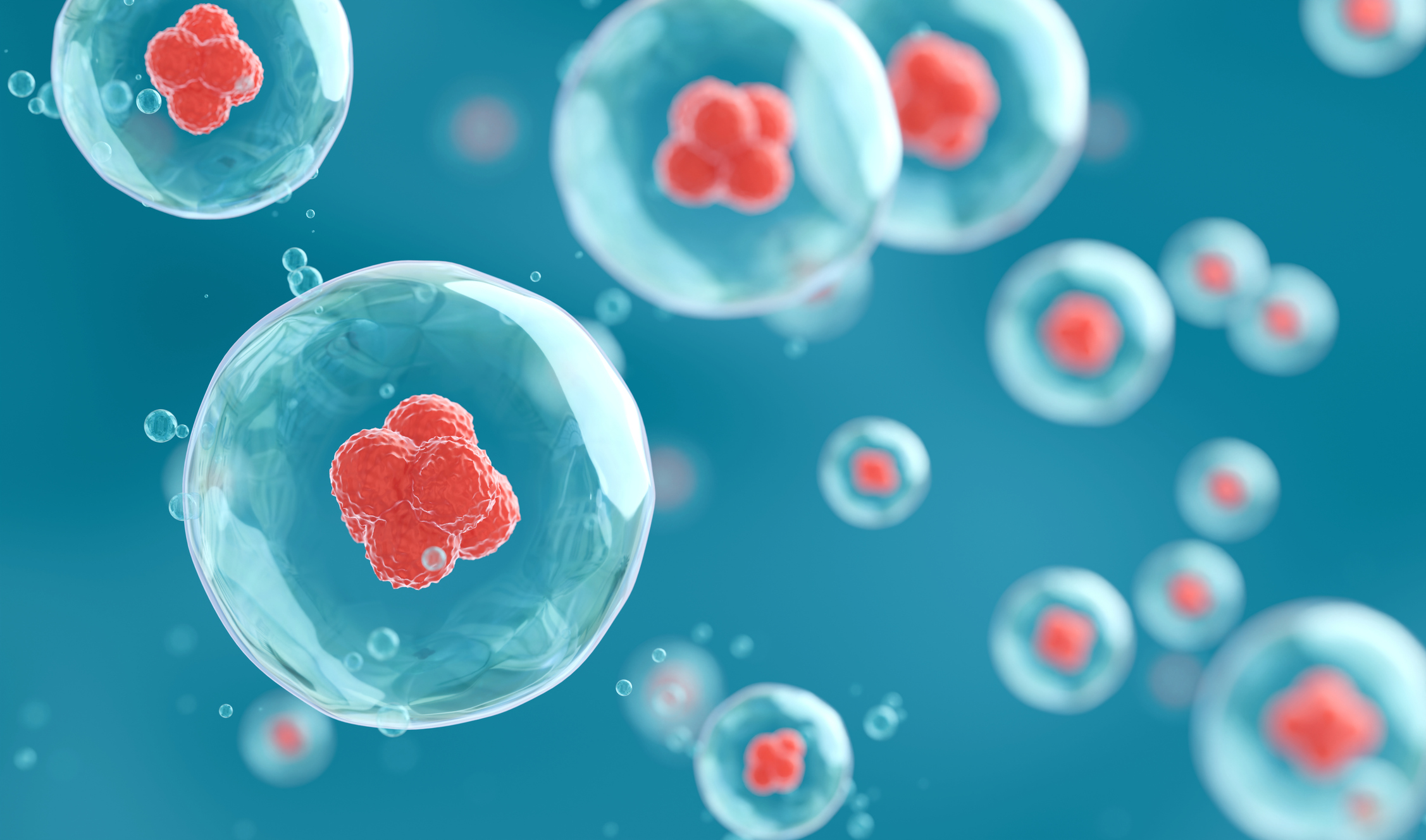 moleculent’s-early-access-program-tests-its-cell-cell-mapping-tech-on-immuno-oncology