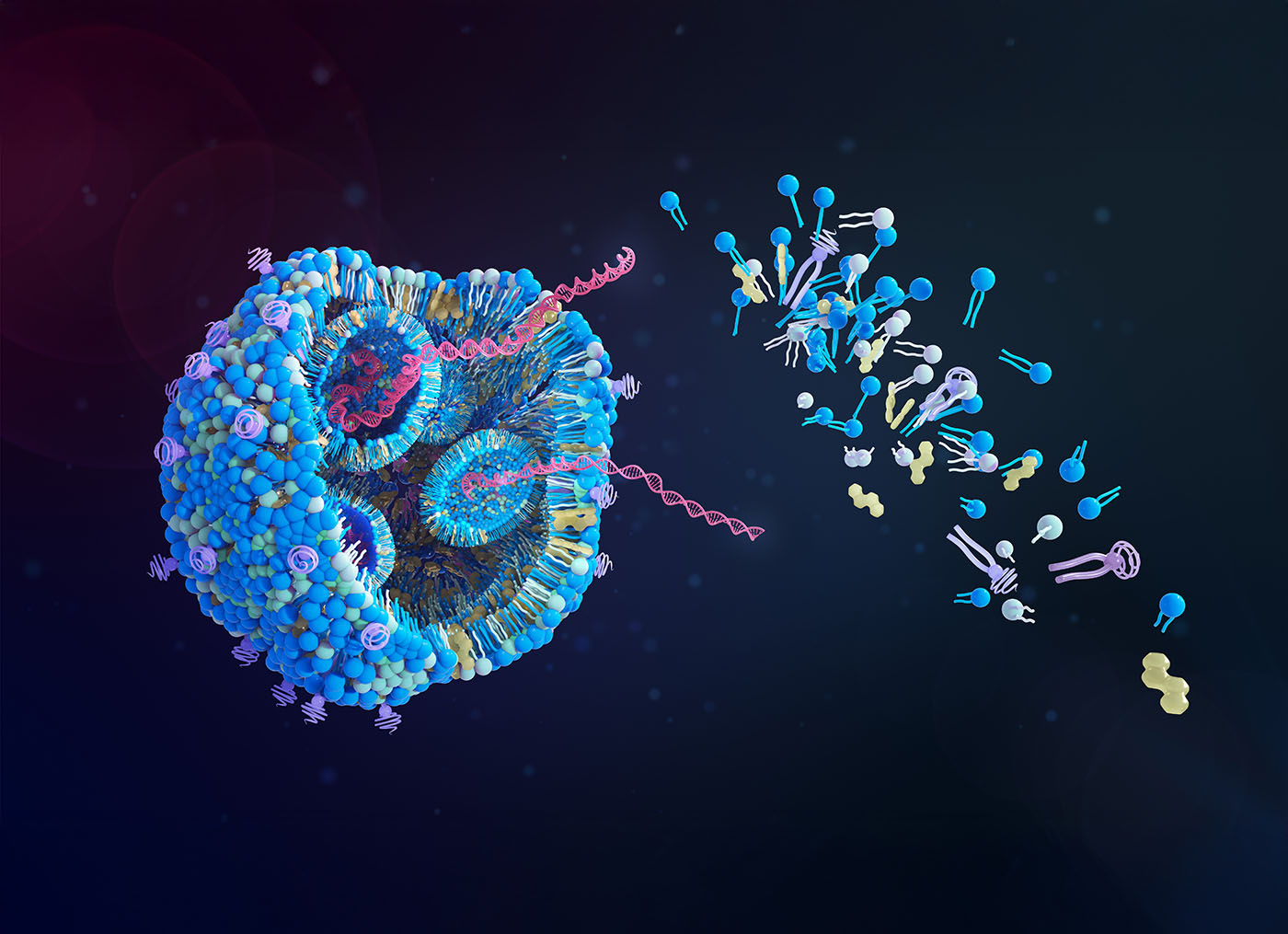 novel-lnp-delivers-influenza-mrna-vaccine-at-100-fold-lower-dose