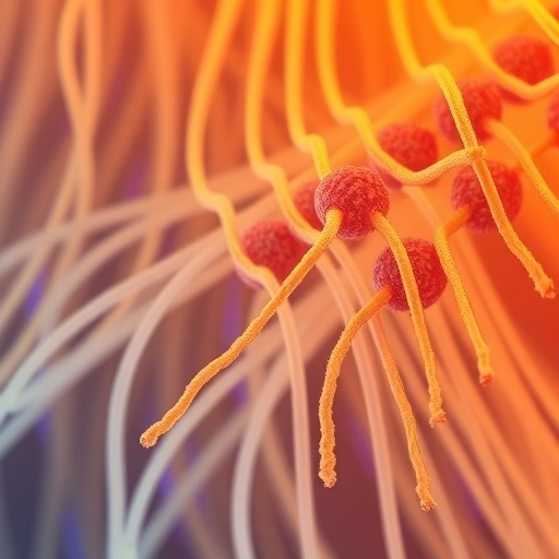 femtosecond-stimulated-raman-microscopy-reveals-microfiber-details