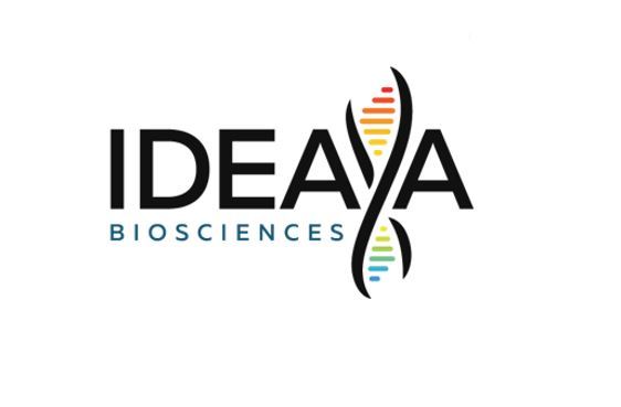 ideaya-biosciences-announces-inducement-grants-under-nasdaq-listing-rule-5635(c)(4)