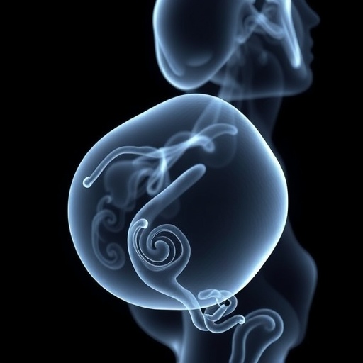 when-is-mri-essential-for-prenatal-urinary-imaging?