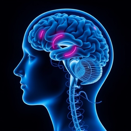 rapid-motor-skill-adaptation-linked-to-cerebellar-error-signals