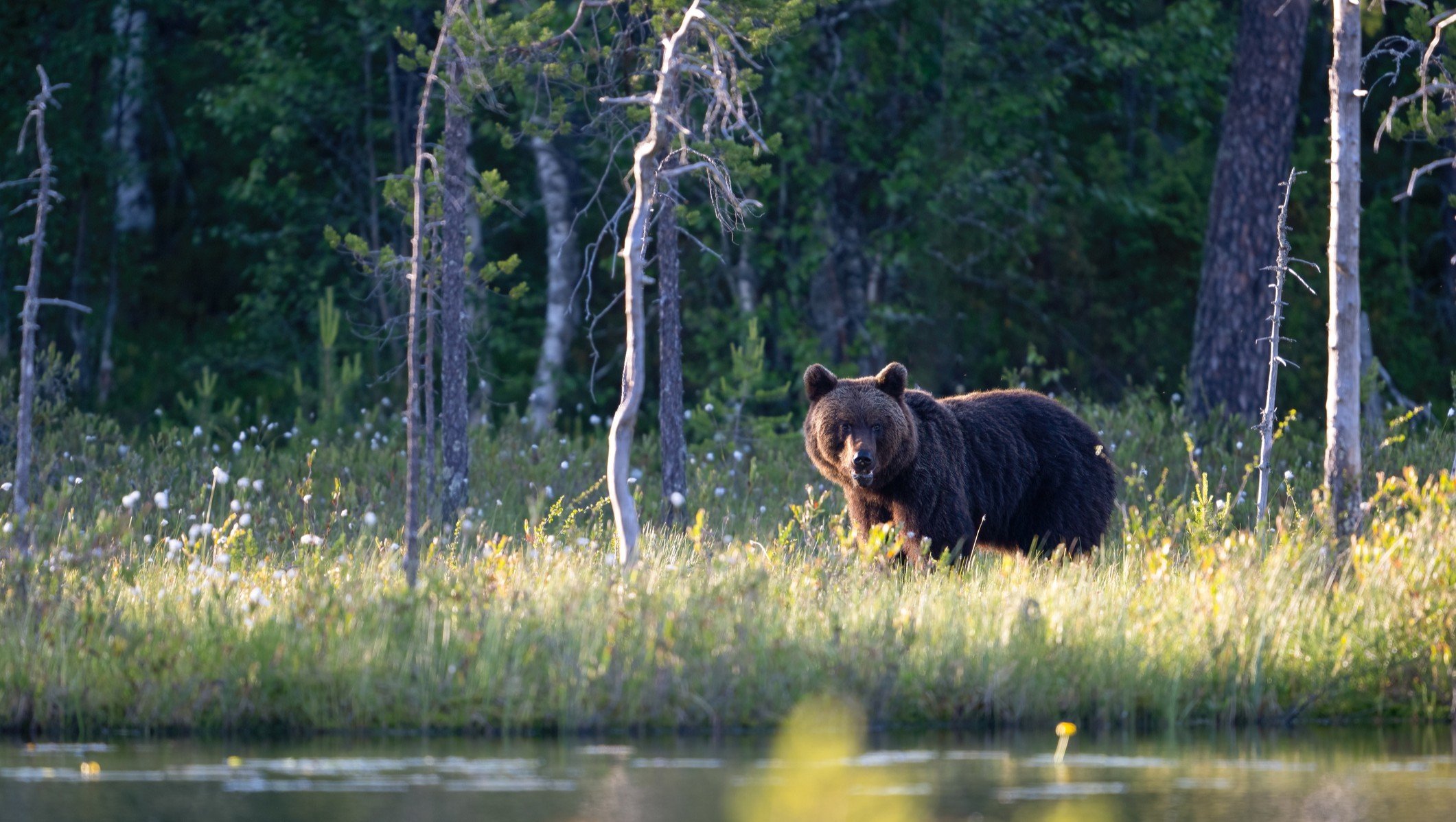 2026-outlook:-biotech-poised-to-outperform-bear-markets-of-’21-24,-analyst-says