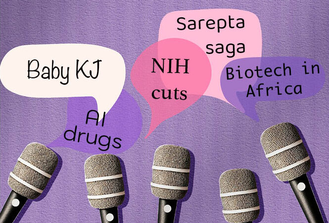 editors’-choice:-top-stories-of-2025