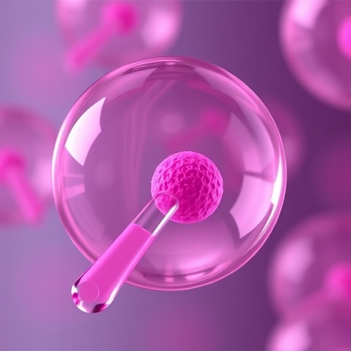 encapsulating-cisplatin-with-silibinin-boosts-cervical-cancer-treatment