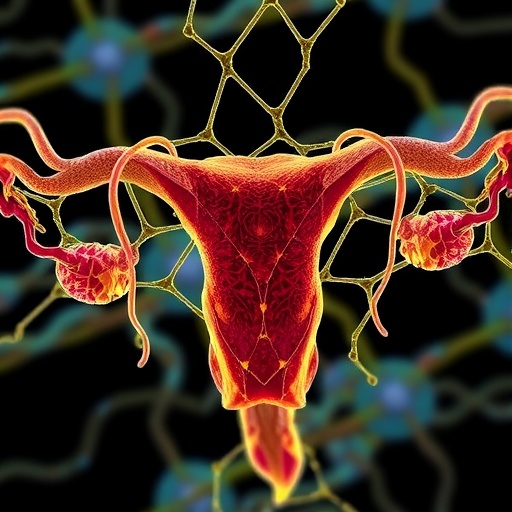 endometriosis-scaffold-boosts-cell-seeding-success