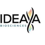 ideaya-biosciences-provides-a-business-update-and-outlines-2026-corporate-objectives-at-the-44th-annual-jp.-morgan-healthcare-conference