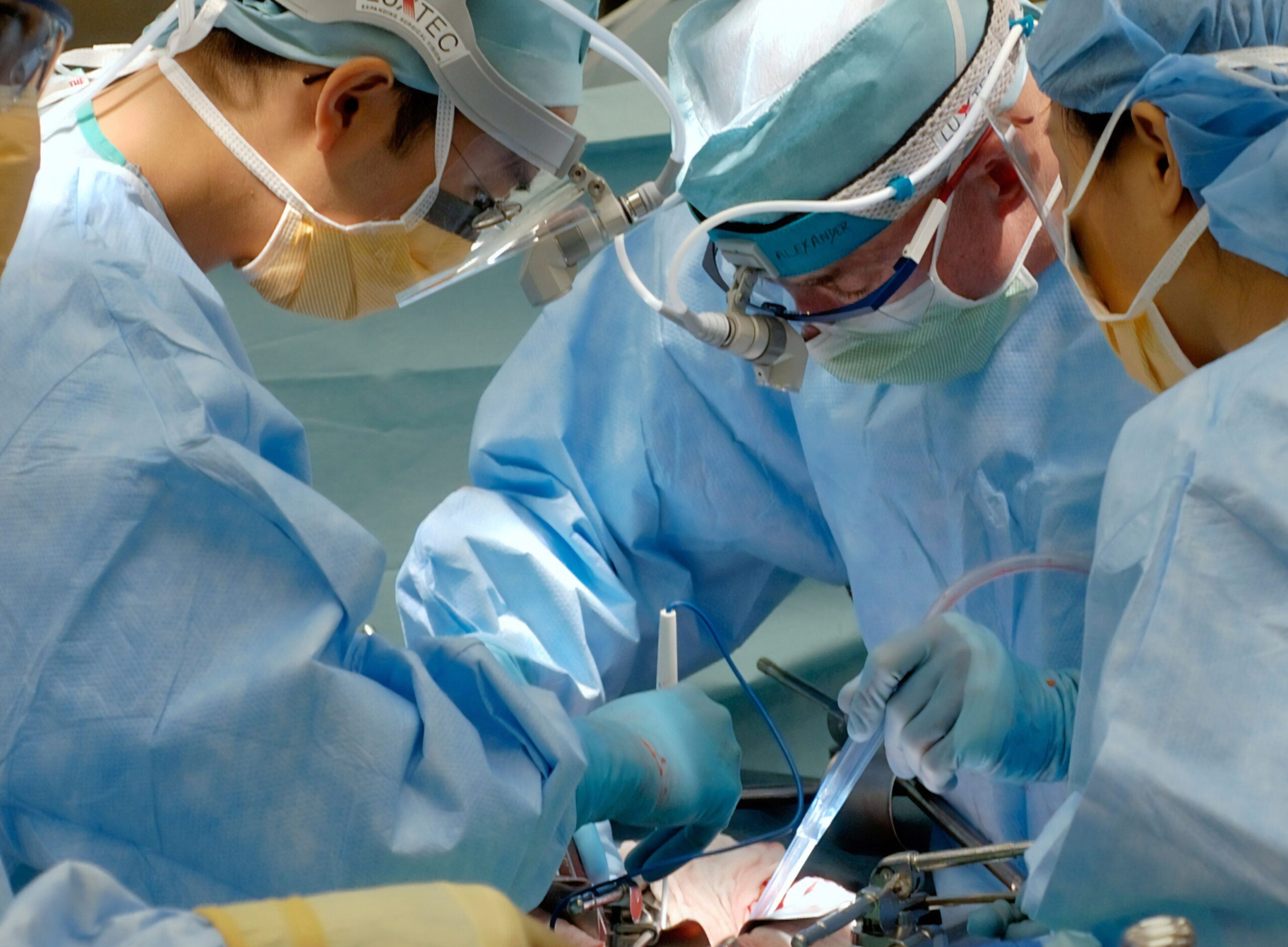 privo-technologies-announces-milestone-in-prv211-arm-of-cln-004-clinical-trial:-primary-endpoint-met;-no-serious-adverse-events-reported