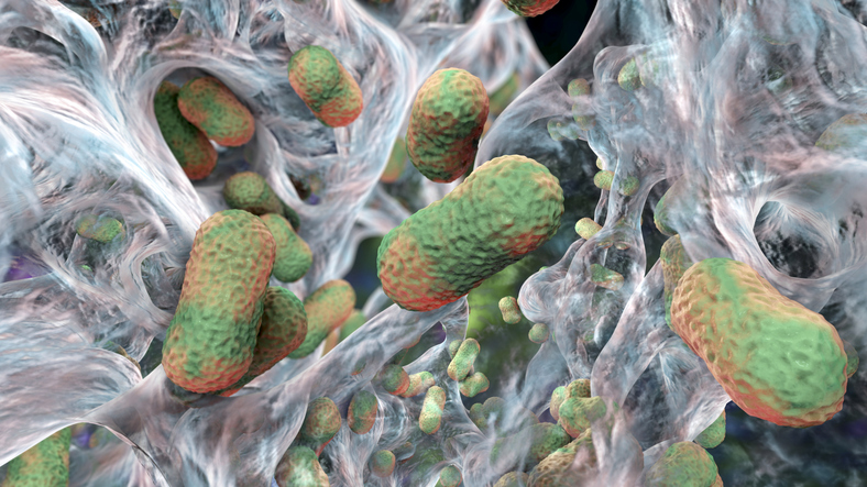 bacterial-biofilms-unexpectedly-found-inside-most-common-kidney-stones