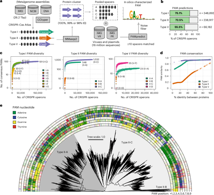 customizing-crispr–cas-pam-specificity-with-protein-language-models