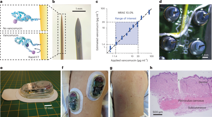 pilot-phase-clinical-trial-of-a-wearable,-electrochemical-aptamer-based-patch-for-continuous-drug-concentration-measurement