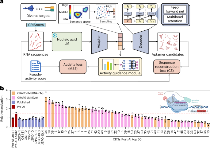 generative-ai-powered-by-nucleic-acid-language-model-enables-one-round-evolution-of-rna-aptamers