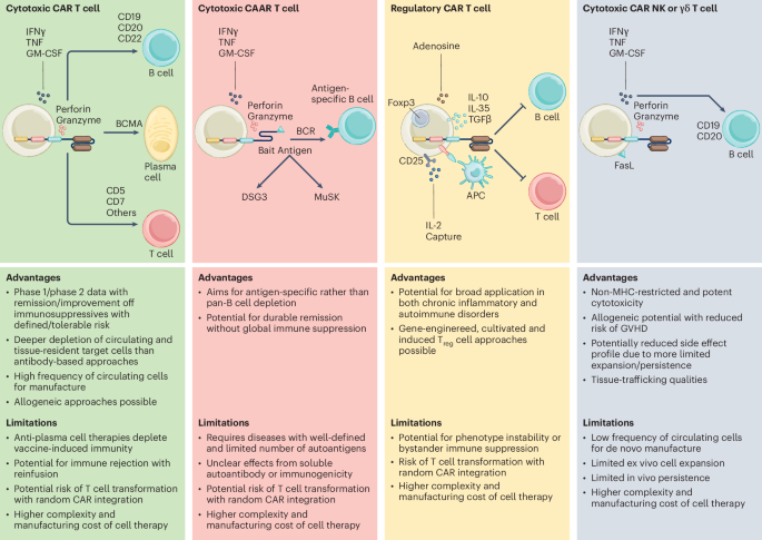 clinical-progress-of-engineered-cellular-immunotherapies-for-autoimmunity