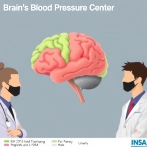 scientists-chart-brain’s-blood-pressure-regulation-center