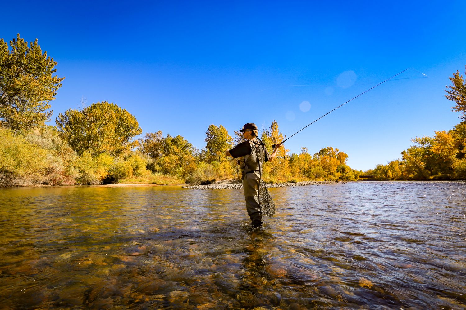 evinova-reels-in-ai-clinical-development-deals-with-astellas-and-astrazeneca