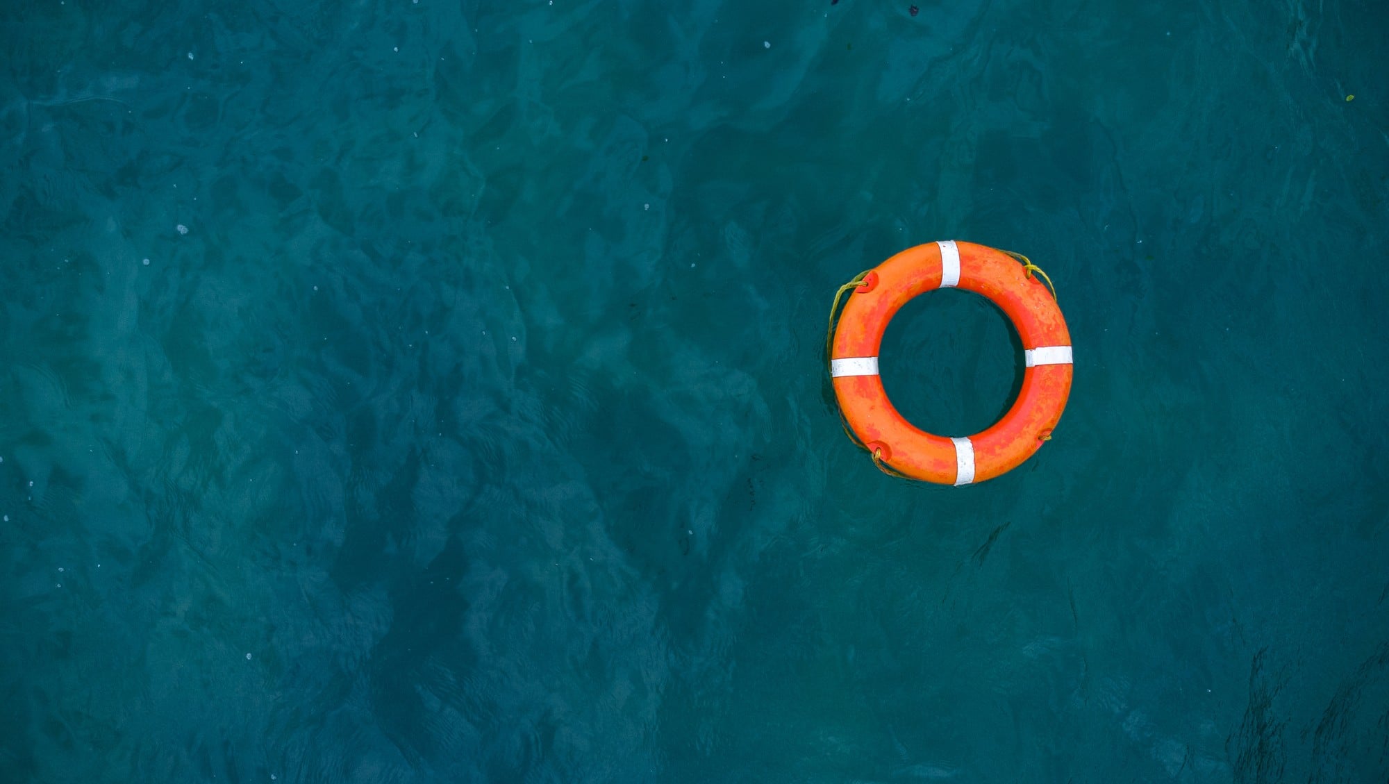 worried-trump’s-mfn-push-will-‘destroy-biotech-innovation,’-midsize-companies-form-coalition-to-fight-back