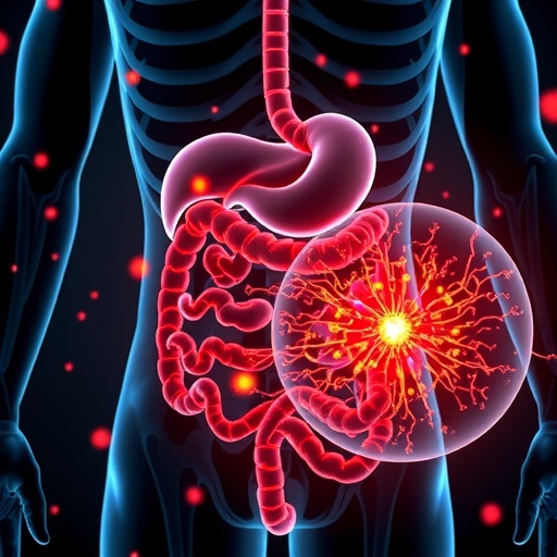 new-study-uncovers-how-gut-bacteria-and-diet-rewire-fat-cells-to-boost-energy-burn