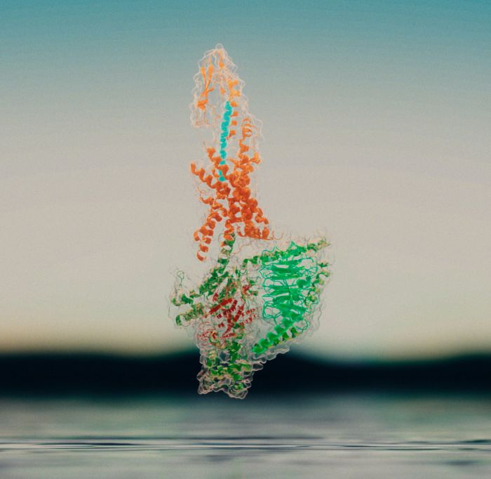 cryo-em-drug-discovery-center-in-bay-area-opened-by-thermo-fisher-scientific