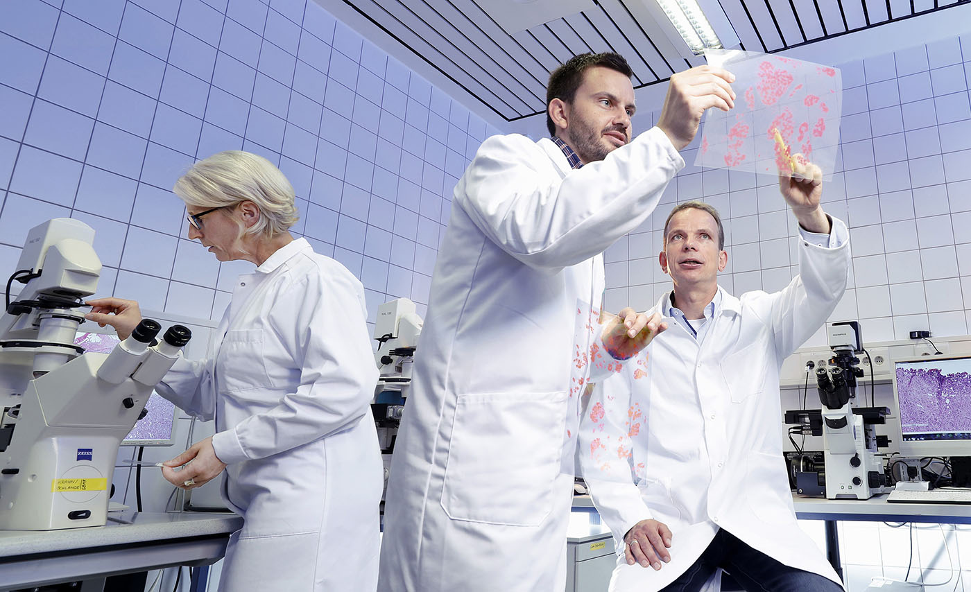 pharma’s-ai-investment-signals-new-drug-discovery-paradigm